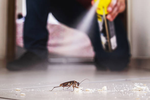 Best Emergency Pest Control  in Hopewell, NJ