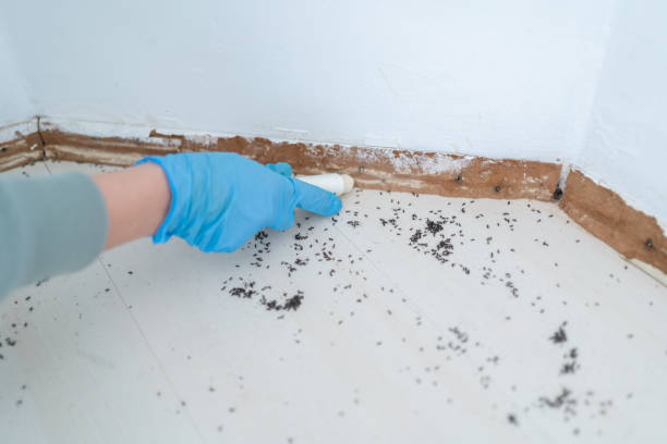 Best Affordable Exterminators  in Hopewell, NJ